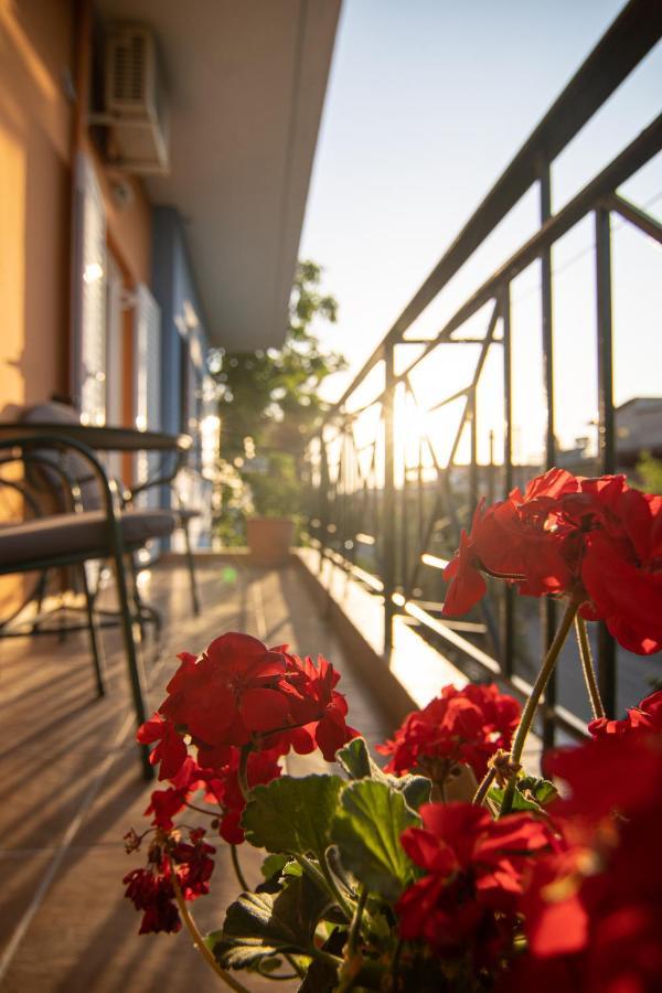 كامينا فورلا Tsertos Apartments المظهر الخارجي الصورة