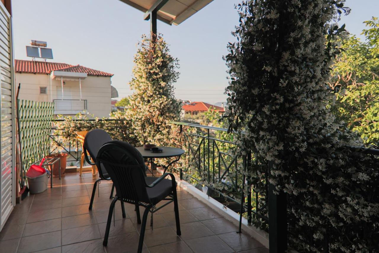 كامينا فورلا Tsertos Apartments المظهر الخارجي الصورة
